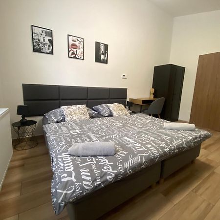 Cerna Ruze - Apartman 7 بلزن المظهر الخارجي الصورة