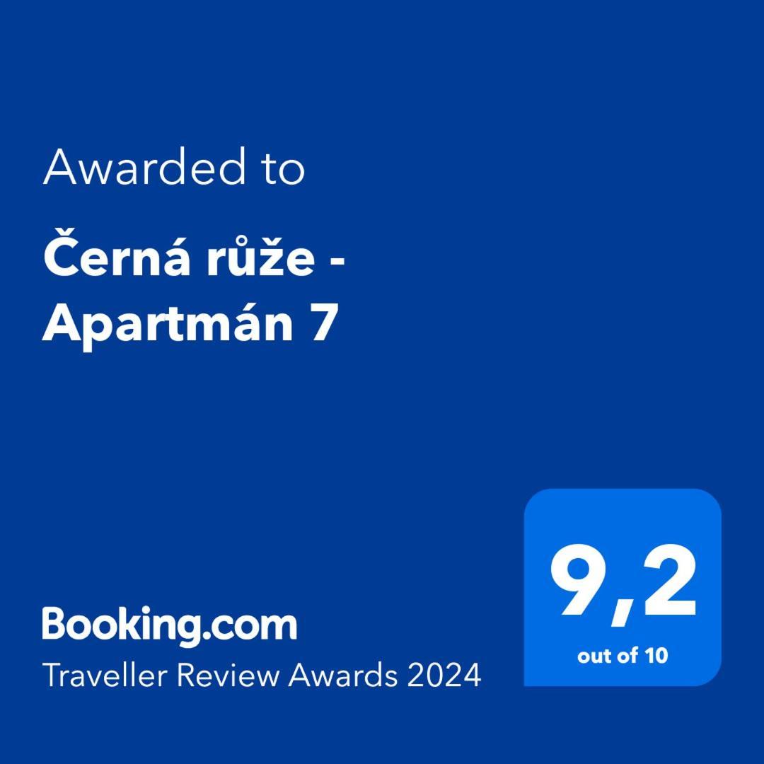 Cerna Ruze - Apartman 7 بلزن المظهر الخارجي الصورة